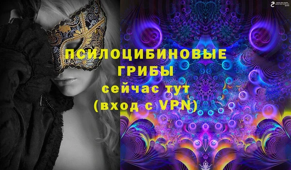 МДПВ Алексин