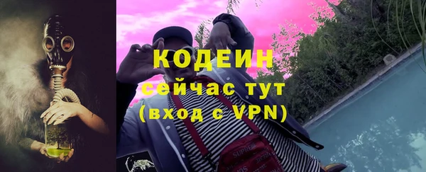 PSILOCYBIN Алзамай