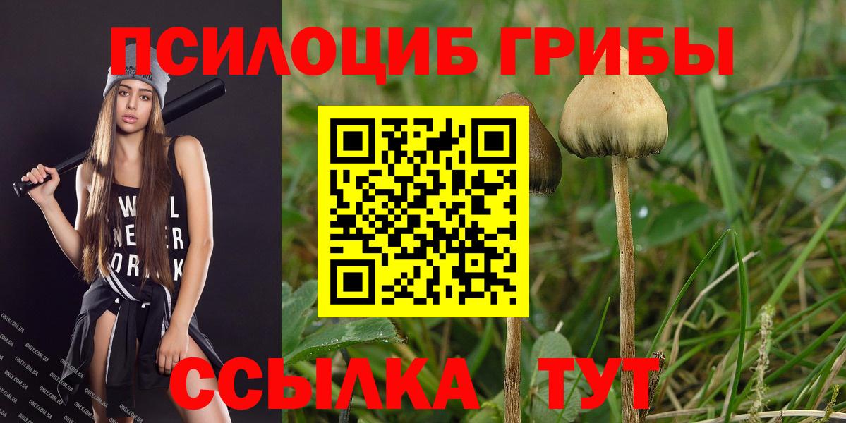 Галлюциногенные грибы Cubensis  Вход с VPN  Бийск  купить наркоту  Псилоцибиновые грибы MAGIC MUSHROOMS 