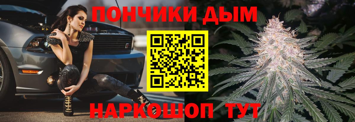 Бошки марихуана план  Каннабис ГИДРОПОН  Бийск  Вход с VPN 
